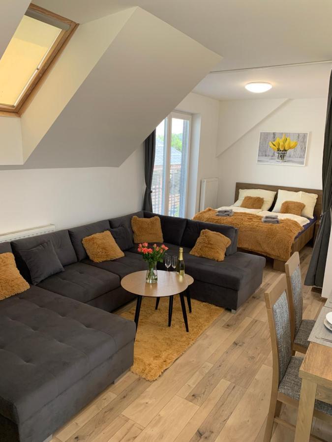Cozy 2-Bedroom Vacation Apartment With Entire Top Floor Gaj  エクステリア 写真